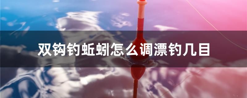 雙鉤釣蚯蚓怎么調(diào)漂釣幾目 黑白雙星魚 第1張