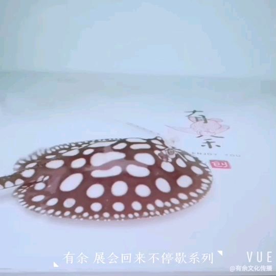 附近哪有定做魚(yú)缸的地方啊多少錢（請(qǐng)問(wèn)哪里可以定做定制魚(yú)缸水族箱之類的）