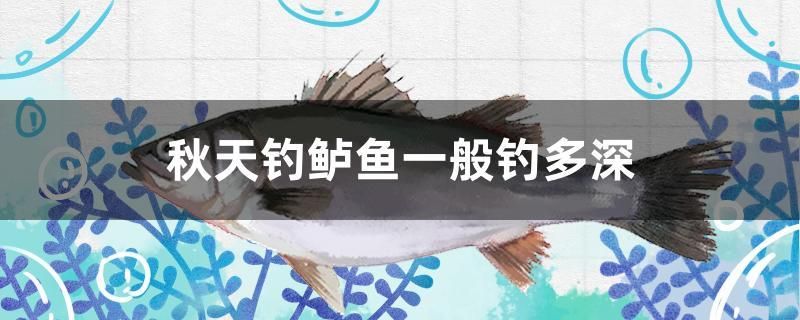 秋天釣鱸魚一般釣多深 三間鼠魚苗 第1張