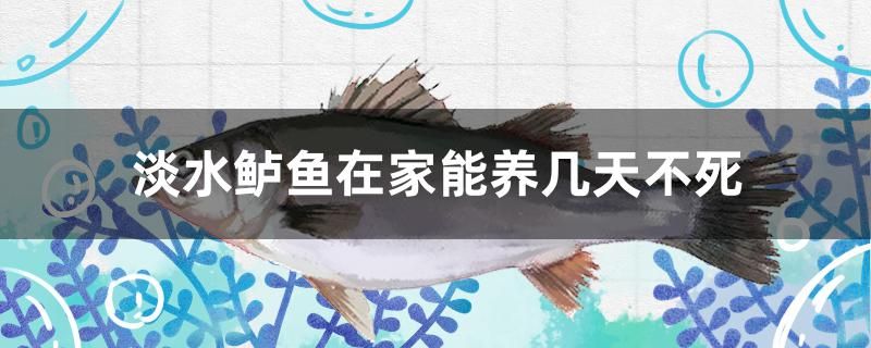 淡水鱸魚在家能養(yǎng)幾天不死 魚缸清潔用具 第1張