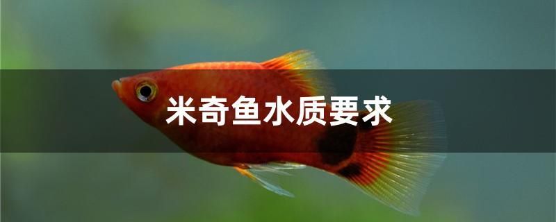 米奇魚水質(zhì)要求