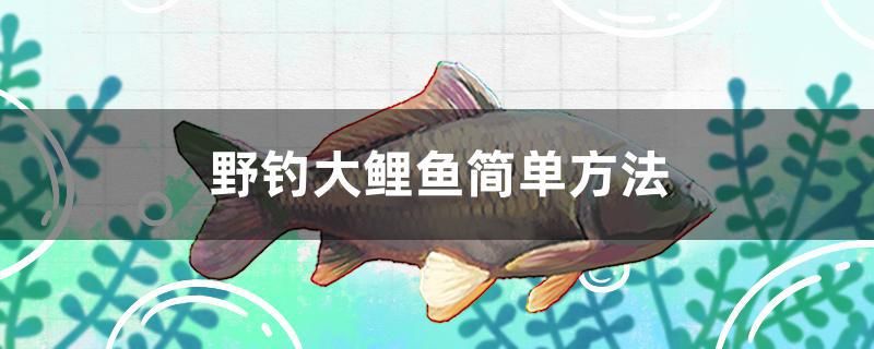 野釣大鯉魚簡單方法