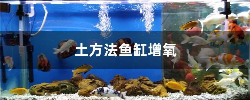 土方法魚缸增氧