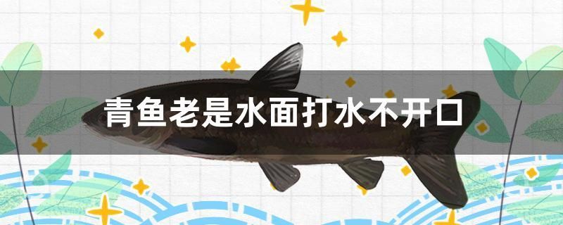 青魚老是水面打水不開口