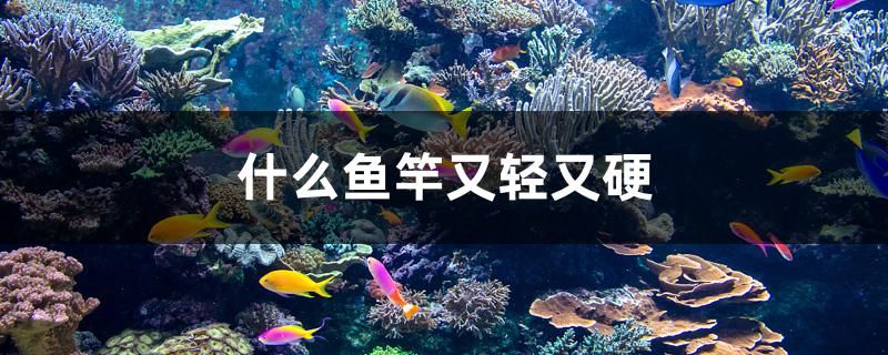 什么魚竿又輕又硬