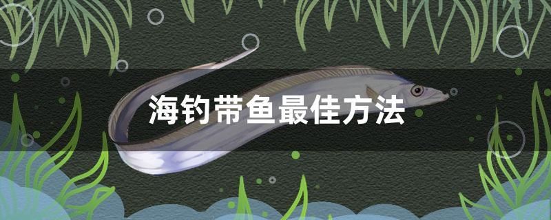 海釣帶魚最佳方法 帝王迷宮 第1張