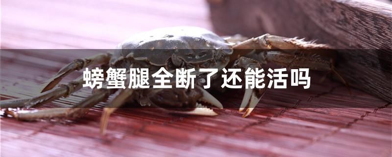 螃蟹腿全斷了還能活嗎 飛鳳魚 第1張