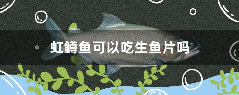 虹鱒魚可以吃生魚片嗎 白子銀龍魚苗 第1張