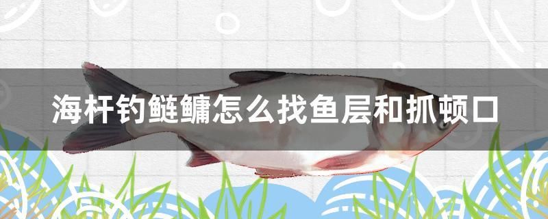 海桿釣鰱鳙怎么找魚層和抓頓口 埃及神仙魚 第1張