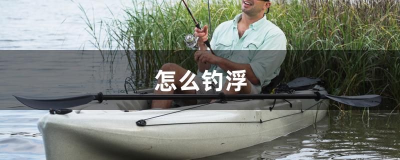 怎么釣浮 過背金龍魚 第1張