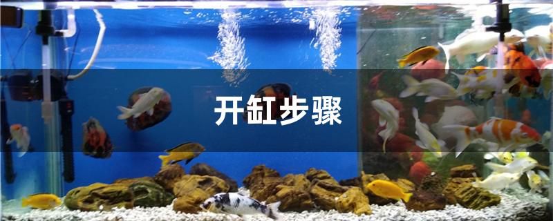 開(kāi)缸步驟有哪些 魚(yú)缸等水族設(shè)備 第1張