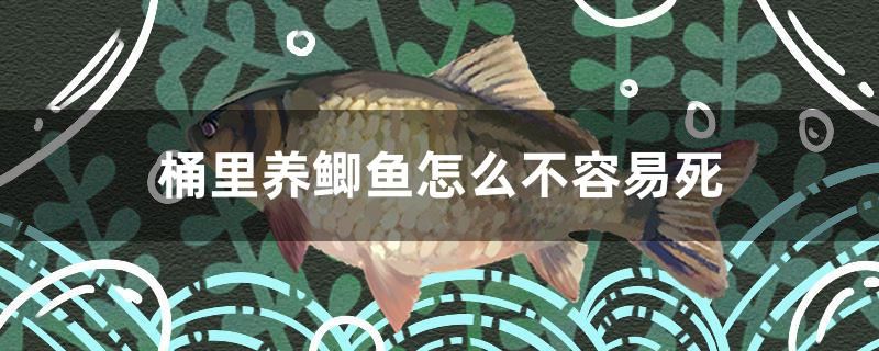 桶里養(yǎng)鯽魚怎么不容易死 白子關(guān)刀魚 第1張