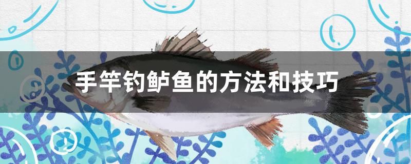 手竿釣鱸魚(yú)的方法和技巧 野彩魚(yú) 第1張