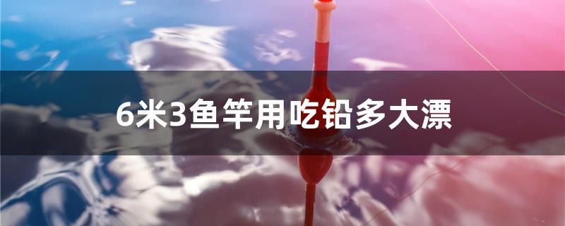 6米3魚竿用吃鉛多大漂 全國觀賞魚市場 第1張