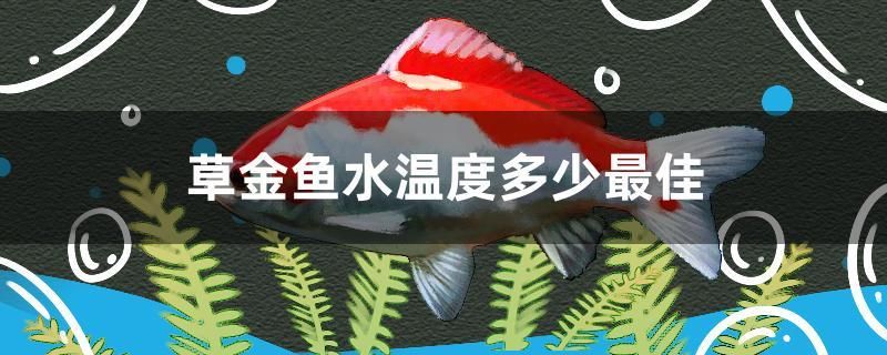 草金魚水溫度多少最佳 可麗愛魚缸 第1張