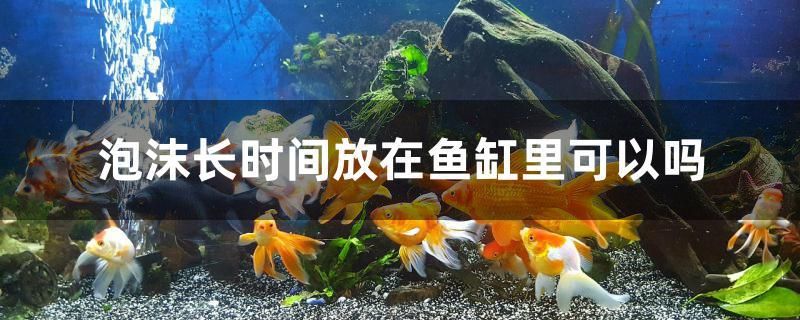 泡沫長(zhǎng)時(shí)間放在魚缸里可以嗎 水溫計(jì) 第1張