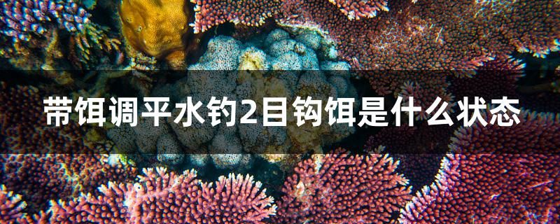 帶餌調(diào)平水釣2目鉤餌是什么狀態(tài) 黑金魟魚 第1張