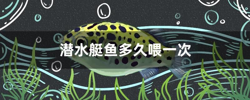 潛水艇魚(yú)多久喂一次 委內(nèi)瑞拉奧里諾三間魚(yú)苗 第1張