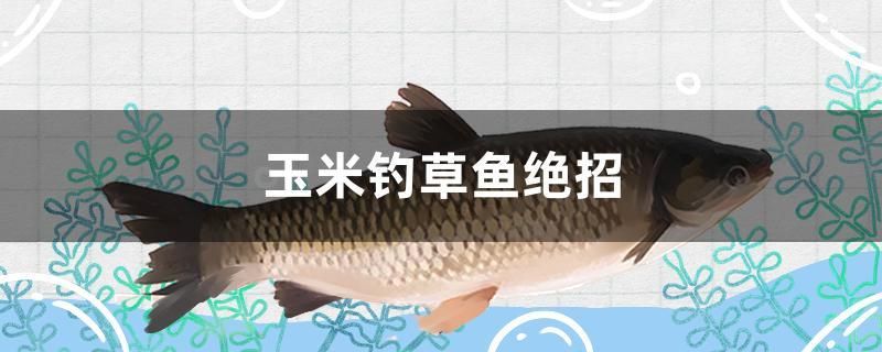 玉米釣草魚絕招 黑影道人魚 第1張