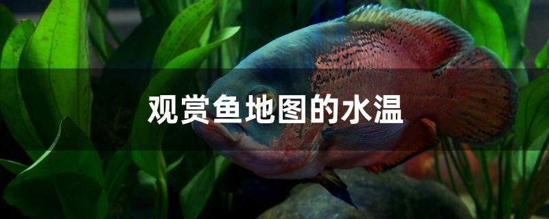 觀賞魚地圖的水溫