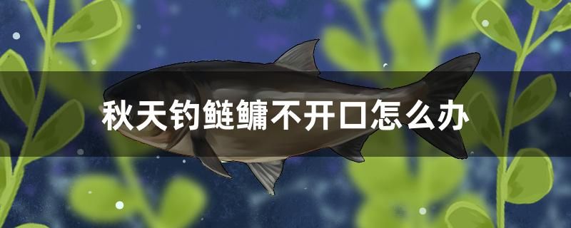 秋天釣鰱鳙不開口怎么辦 小型觀賞魚 第1張