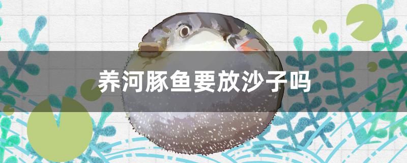 養(yǎng)河豚魚要放沙子嗎 七彩神仙魚 第1張