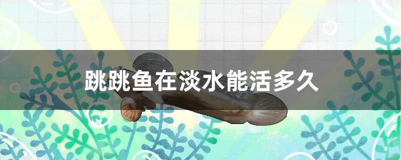 跳跳魚在淡水能活多久 魚缸風水 第1張