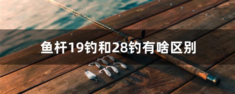 魚桿19釣和28釣有啥區(qū)別