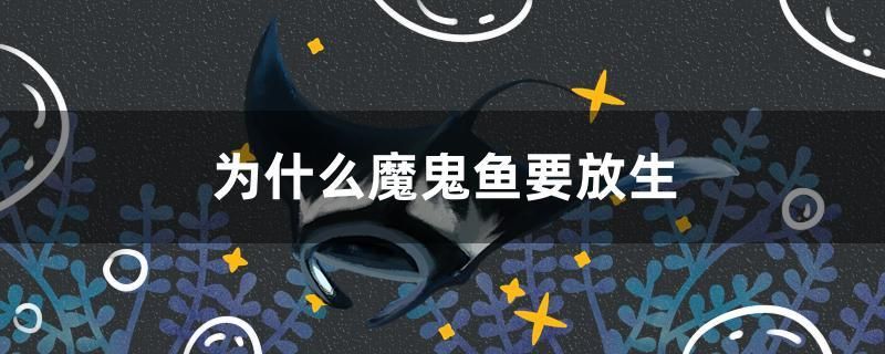 為什么魔鬼魚要放生 狗頭魚 第1張