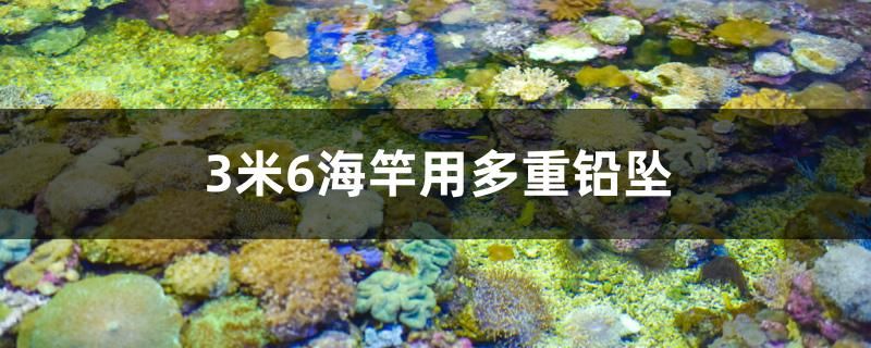 3米6海竿用多重鉛墜