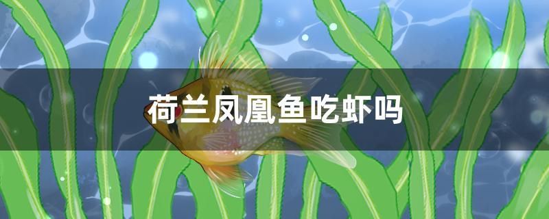 福州觀賞魚飼料公司招聘電話號碼 福州哪里喂魚