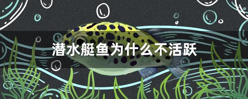 潛水艇魚為什么不活躍 養(yǎng)魚的好處 第1張