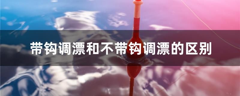 帶鉤調(diào)漂和不帶鉤調(diào)漂的區(qū)別 水族周邊 第1張