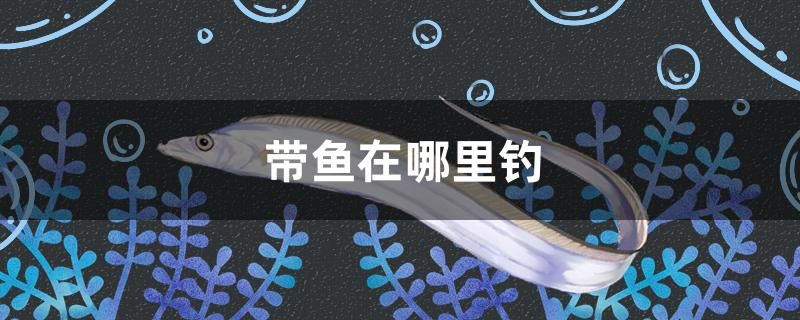 帶魚在哪里釣