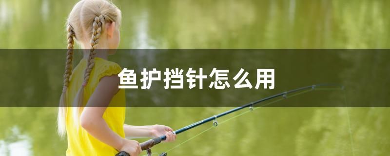 魚護(hù)擋針怎么用 紅勾銀版魚 第1張