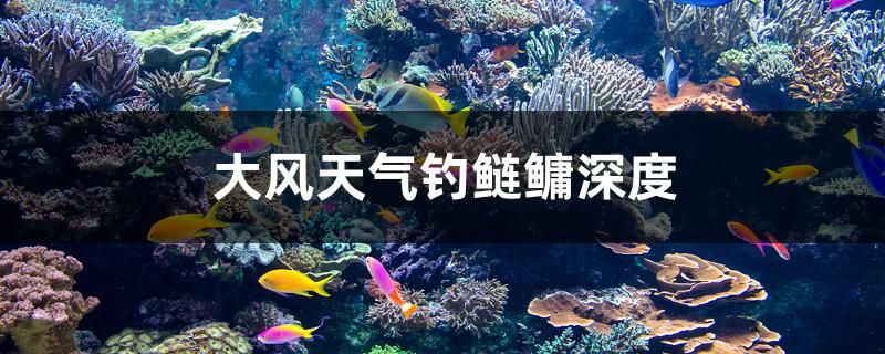 大風(fēng)天氣釣鰱鳙深度 紅尾平克魚 第1張