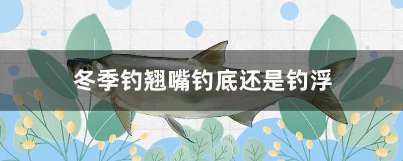 冬季釣翹嘴釣底還是釣浮 水溫計 第1張