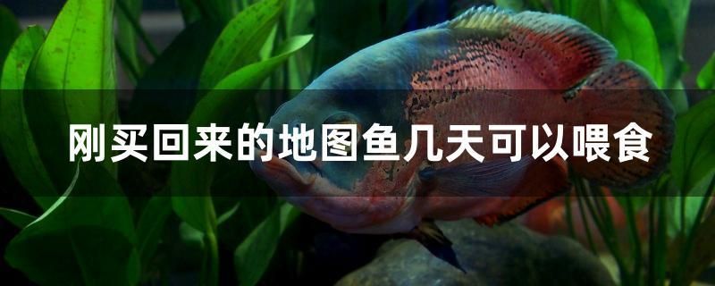 廣安魚缸批發(fā)市場地址在哪里（廣安哪里有賣魚缸的） 魚缸清潔用具