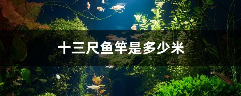 十三尺魚竿是多少米 生態(tài)瓶/創(chuàng)意缸/桌面微景缸 第1張