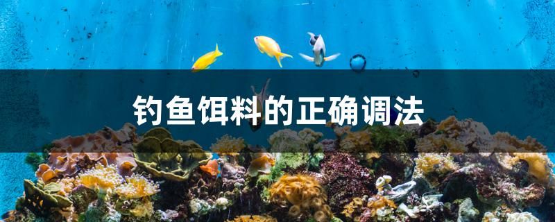 釣魚餌料的正確調(diào)法 泰國(guó)虎魚（泰虎） 第1張