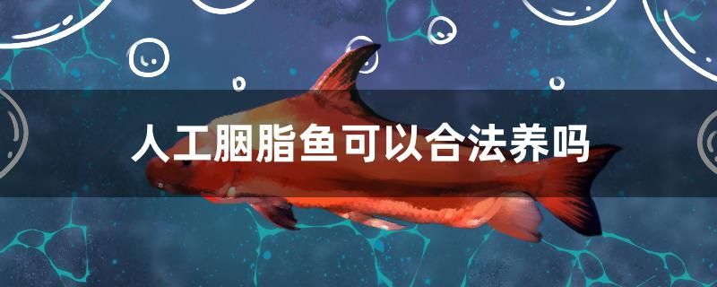 人工胭脂魚可以合法養(yǎng)嗎 黑桃A魚 第1張