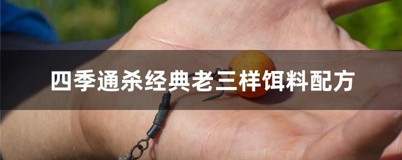 四季通殺經(jīng)典老三樣餌料配方 星點(diǎn)金龍魚 第1張