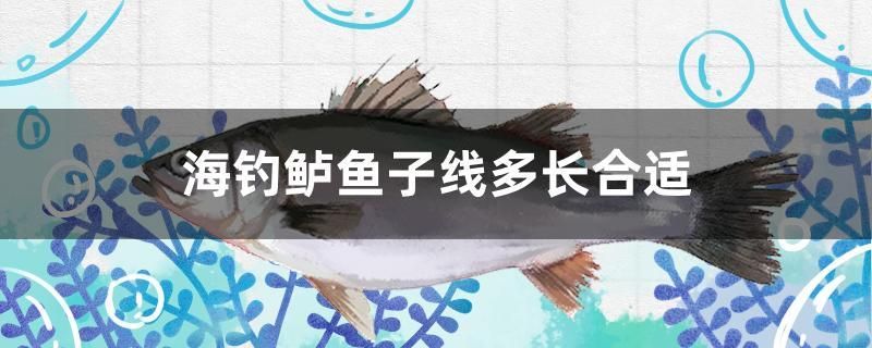 海釣鱸魚子線多長合適 孵化器 第1張