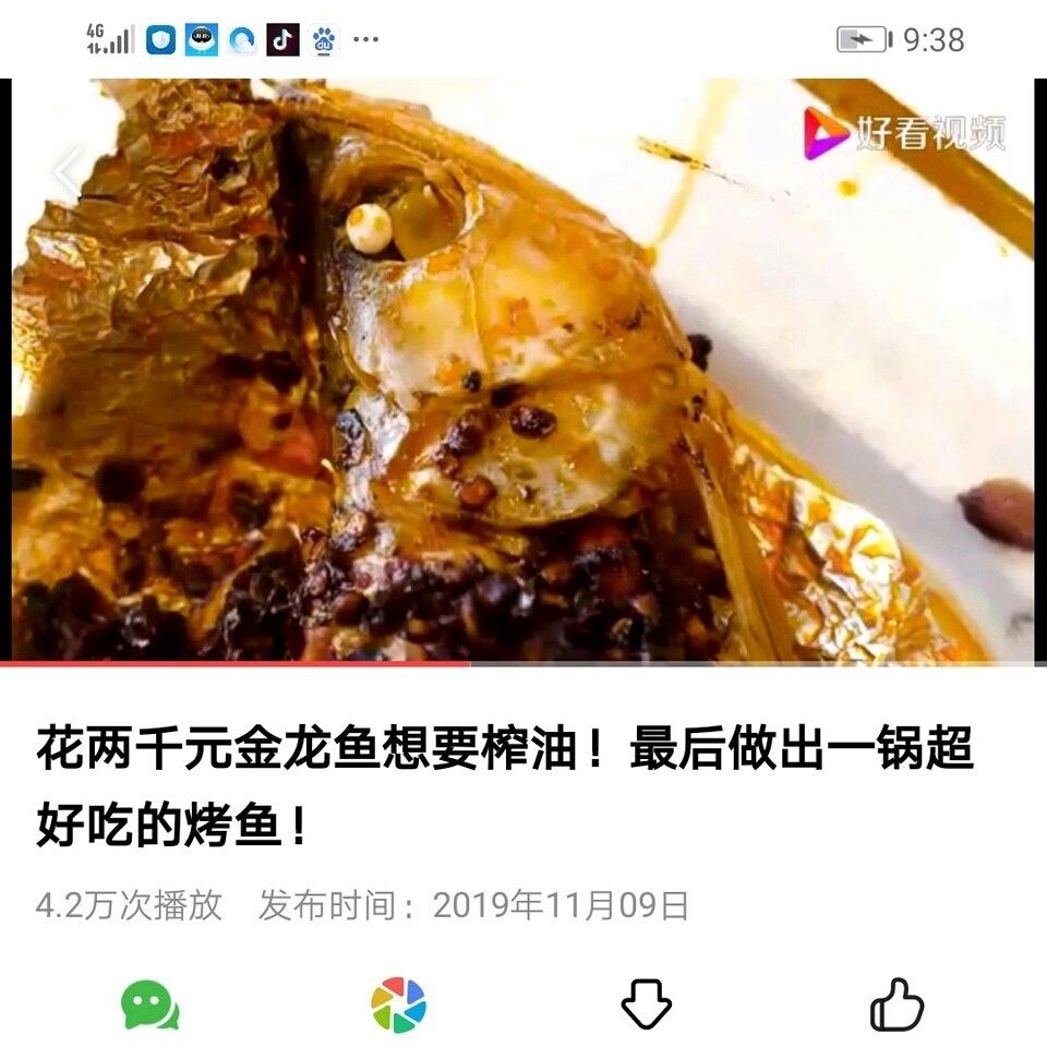 可惡啊 觀賞魚論壇 第1張