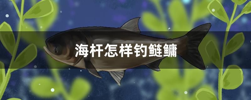 什么魚缸質(zhì)量好（什么魚缸質(zhì)量好養(yǎng)） 孵化器