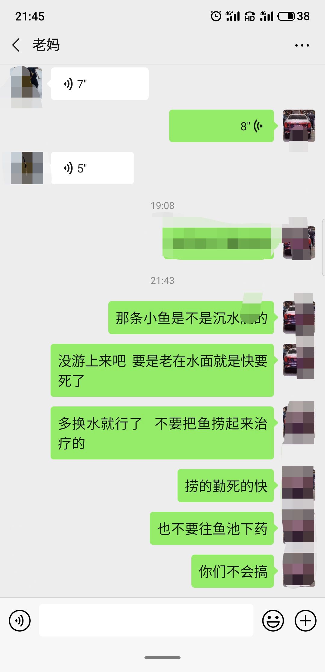 人在外心牽掛 觀賞魚論壇 第1張