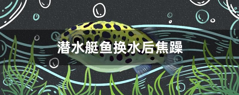 潛水艇魚換水后焦躁 撒旦鴨嘴魚 第1張