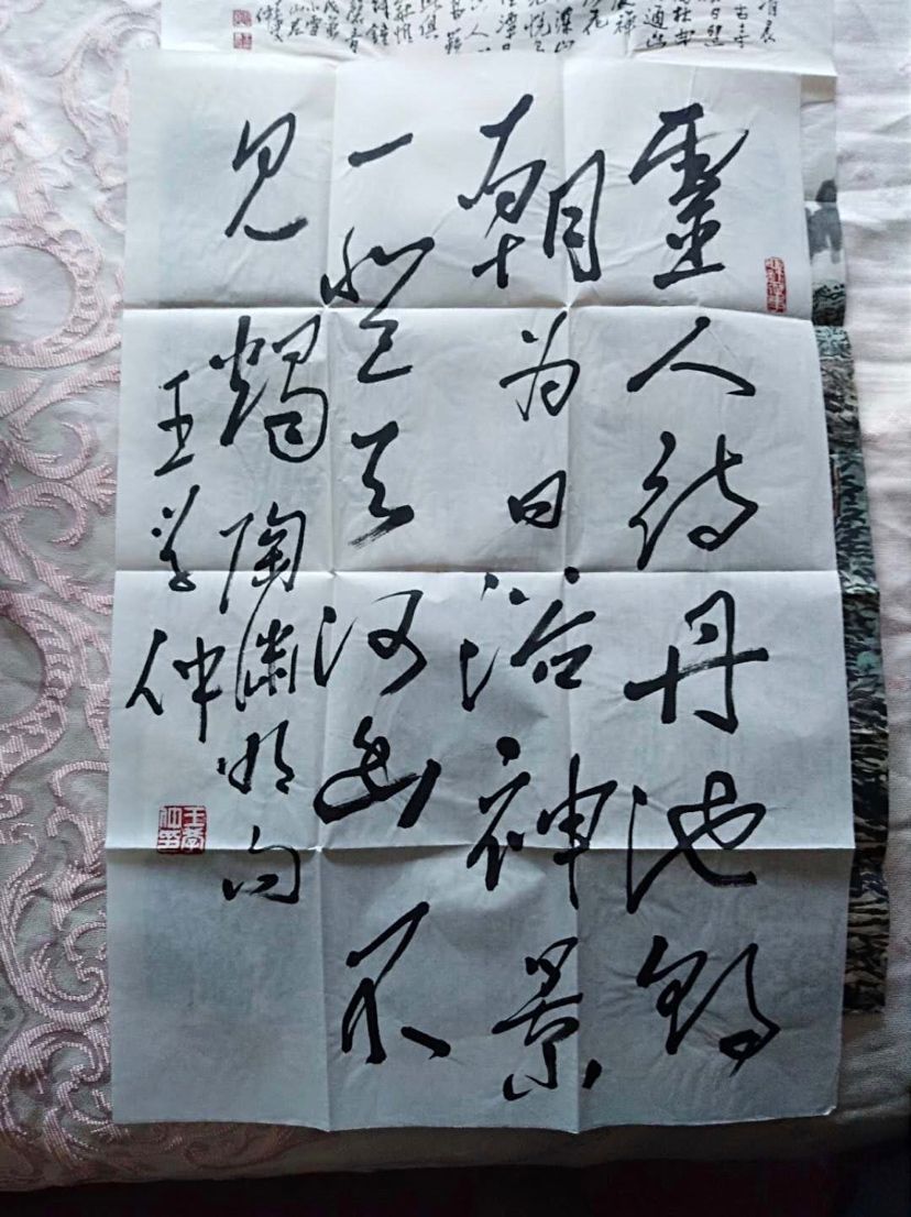 大家好，有沒有人知道王學(xué)仲？目前市價(jià)多少一尺呀 觀賞魚論壇 第8張