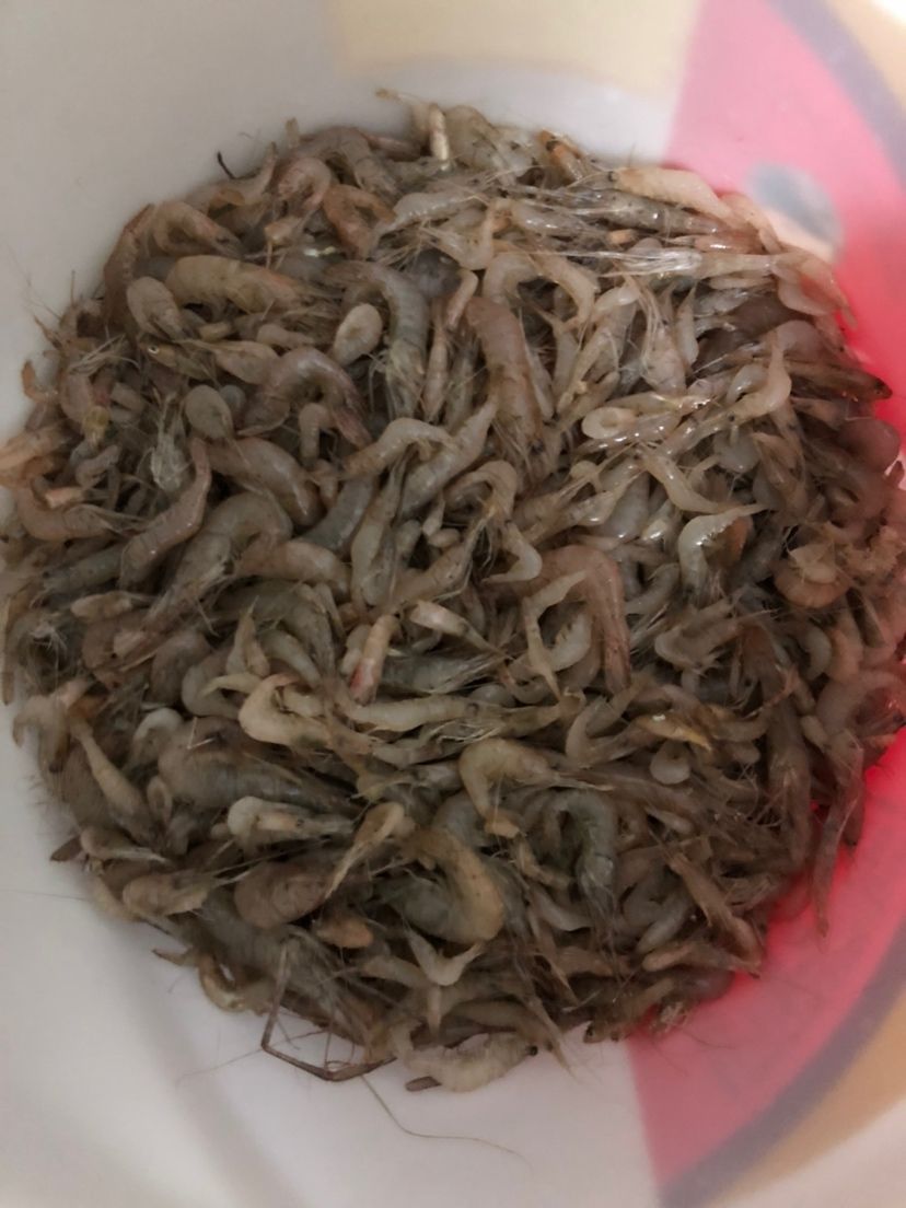 大收獲 觀賞魚(yú)論壇 第1張