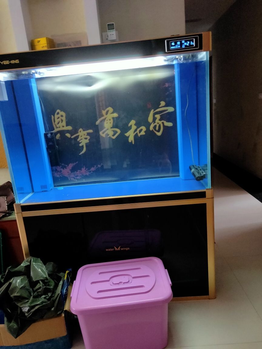 龍魚缸改養(yǎng)海水魚，請大師指點(diǎn)！ 觀賞魚論壇 第1張